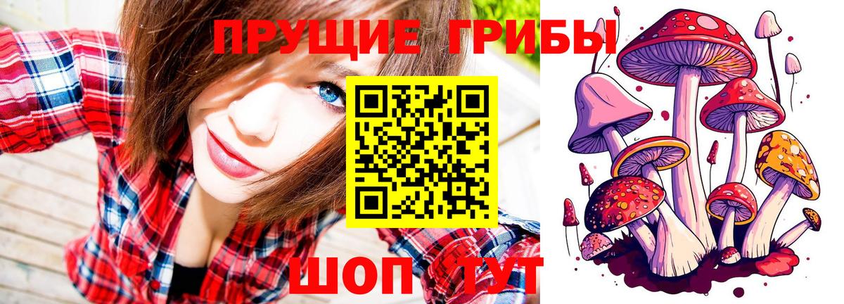 Волоколамск  где найти наркотики  Вход с VPN  Псилоцибиновые грибы MAGIC MUSHROOMS  Псилоцибиновые грибы Psilocybine cubensis 